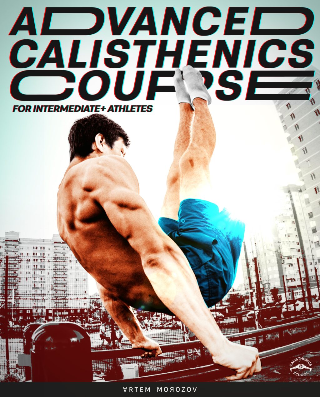 Advanced Calisthenics Course — The Calisthenics School